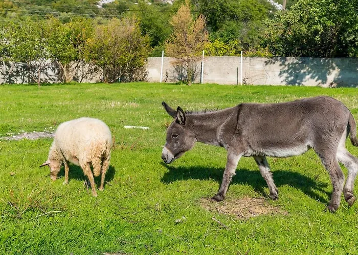 Casa de Férias Luki *