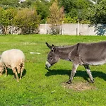 Prázdninový dům Luki *
